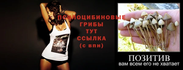 спайс Алзамай
