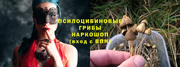 спайс Алзамай