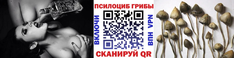 Псилоцибиновые грибы Psilocybe  OMG ссылки  мориарти официальный сайт  Белебей 